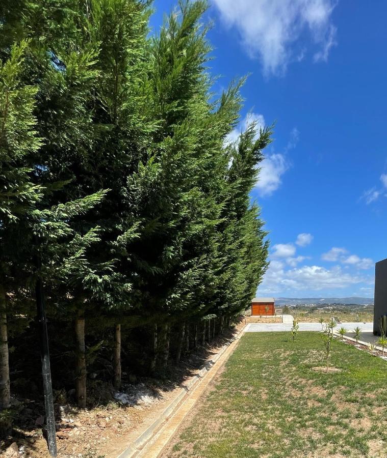 Entre Pomares Villa Alcobaça Екстериор снимка